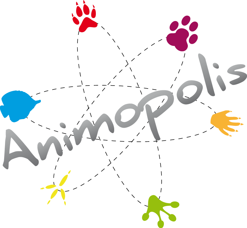 Animopolis