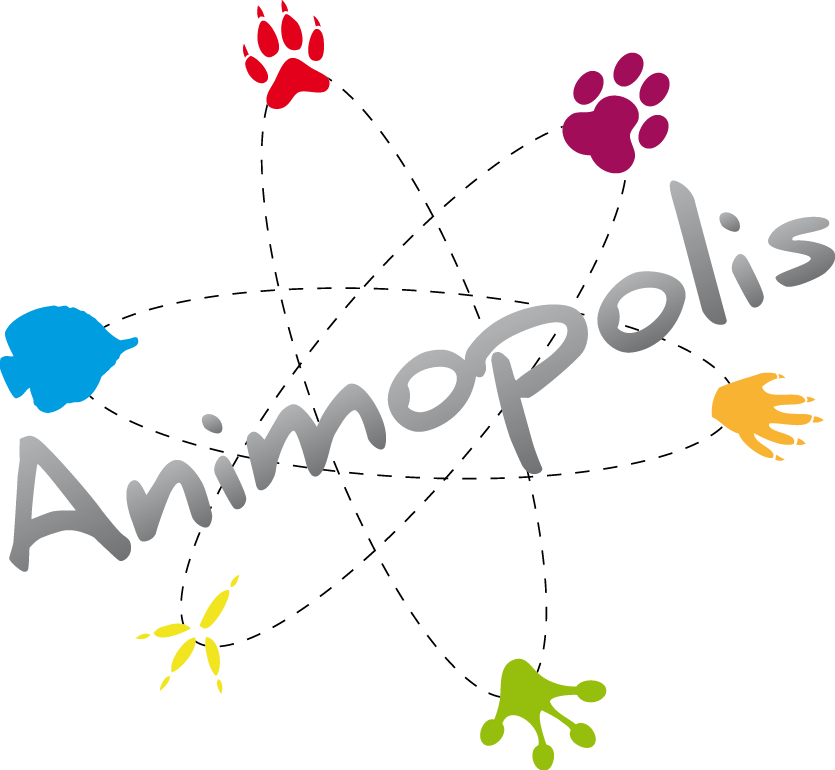 Logo Animopolis